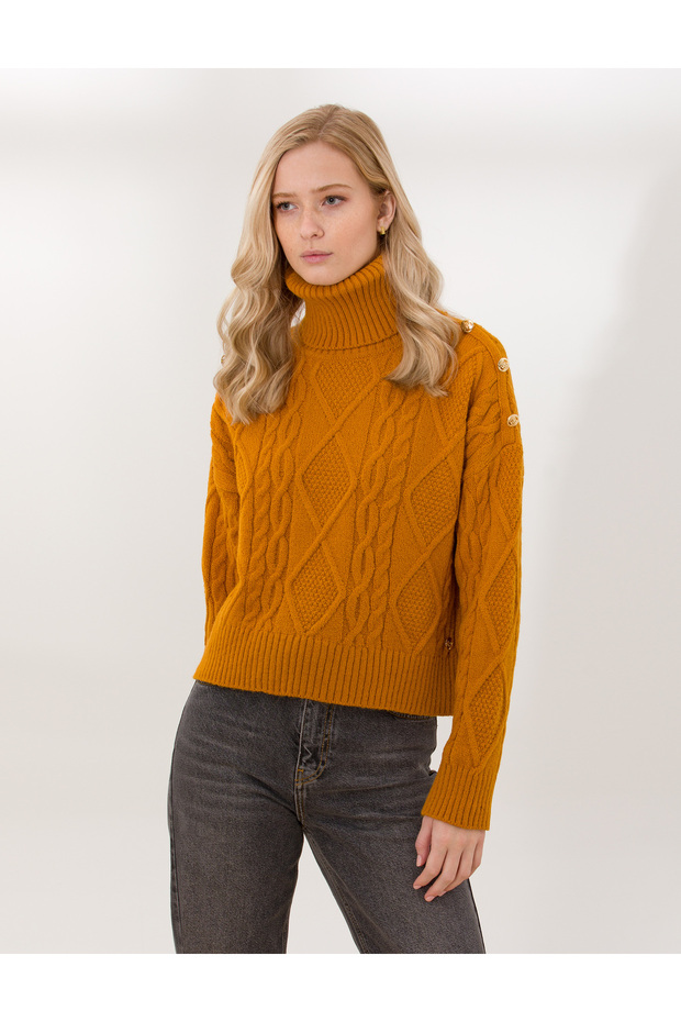 Mustard Crop Top Turtleneck Sweater 50259955-Vr072