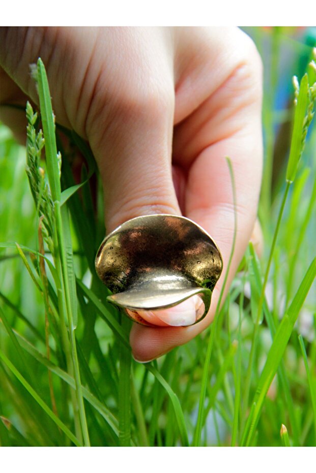 الاتجاه نموذج العتيقة العتيقة حلقة قابلة للتعديل - 2