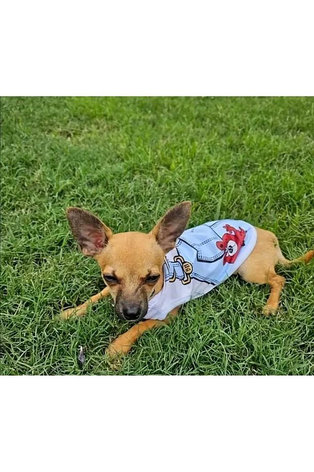 Kedi Köpek Yeleği, Yumuşak Yavru Gömleği, Küçük Köpekler Giyim için Pet Giysileri - 3
