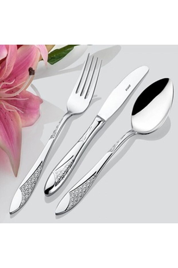 Çelik Hasır 60 Parça Kaşık Çatal Set - 1