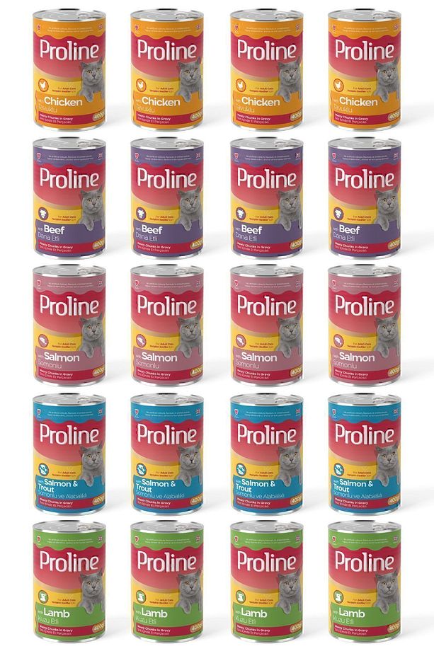 Karışık Kedi Konservesi 5 Çeşit 400 gr x 20 Adet - 1