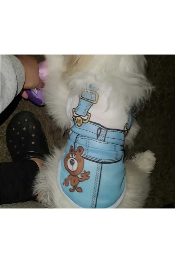 Kedi Köpek Yeleği, Yumuşak Yavru Gömleği, Küçük Köpekler Giyim için Pet Giysileri - 2