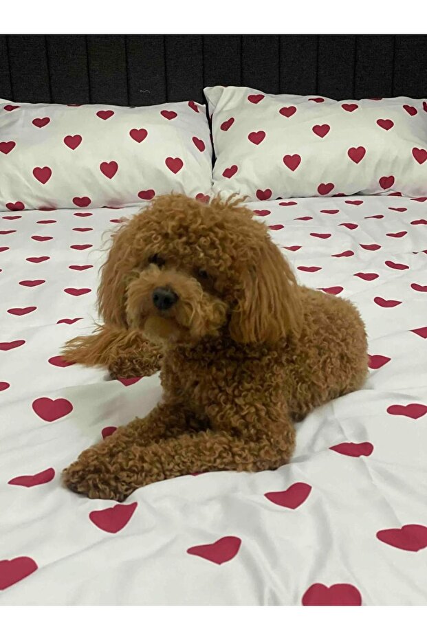 طقم ملاءات مرنة منقوشة على شكل قلب - 4