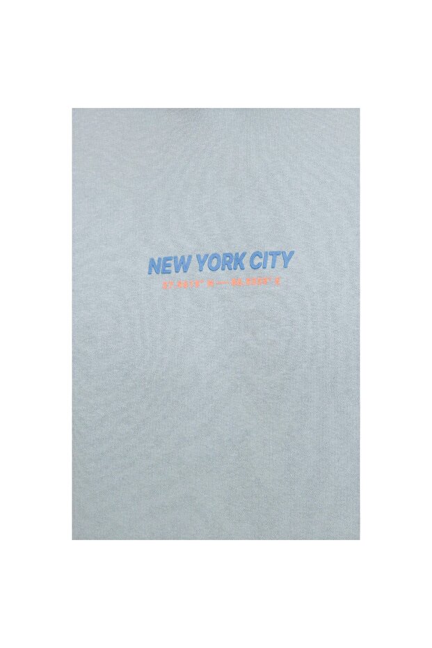 Greys Erkek Mavi Kapüşonlu Sweatshirt - 3