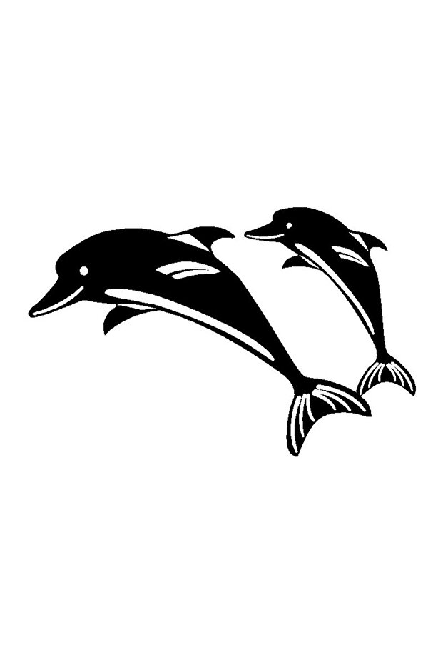 Dolphin Family Auto custom new sticker 30 x 18 Cm