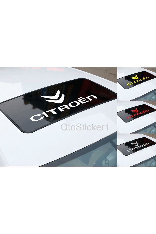 Domestic Production Sunroof Domestic Production A+Quality for Citroen