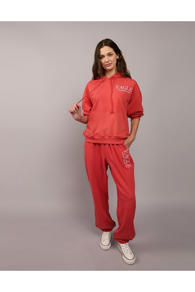 Ae Logo Graphic Hoodie U-0452-2222-211