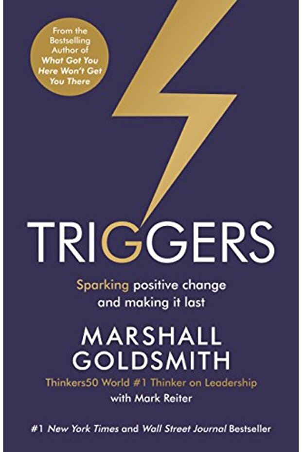 Triggers Sparking Positive Change And Making It Last