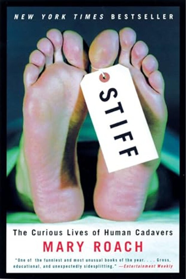 Stiff - 1