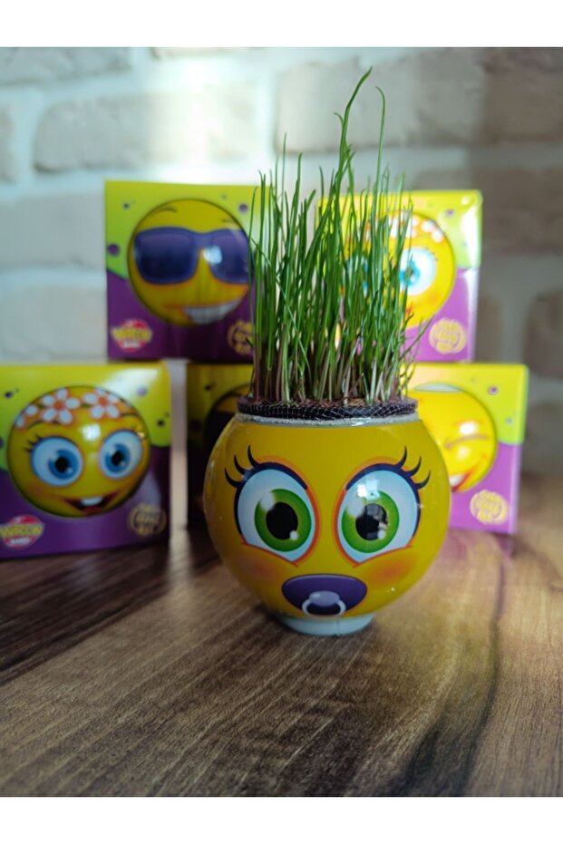 صندوق رجل العشب 24 قطعة - 2