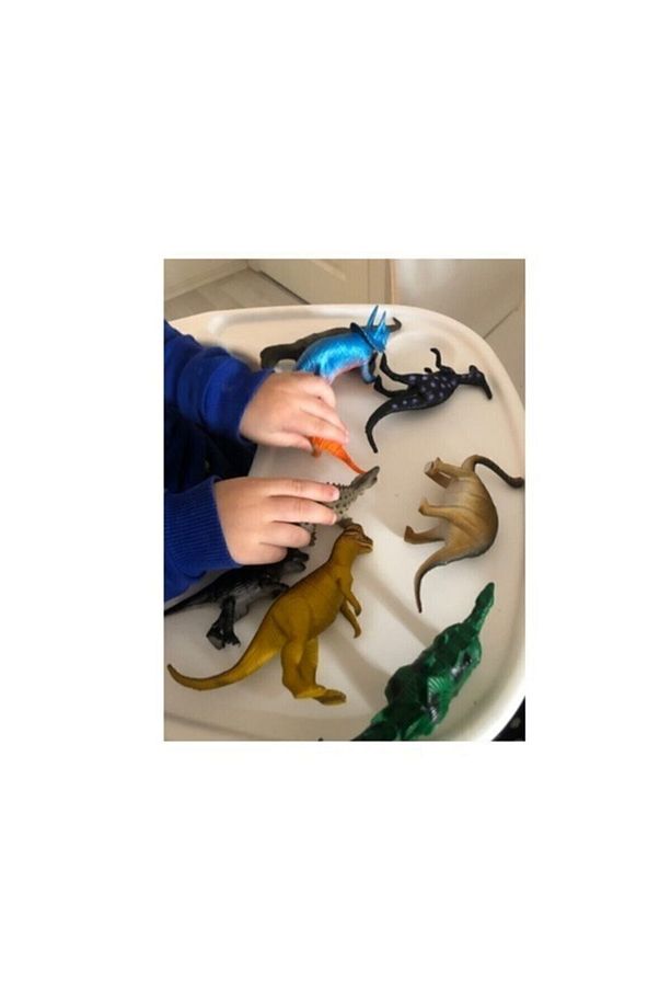 Oyuncak Hayvanlar 8 Parça Dinozor Seti Dinazorlar - 3
