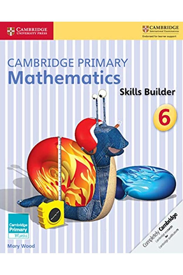 Primary Mathematics Skills Builder 6