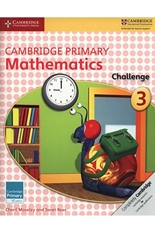Primary Mathematics Challenge 3