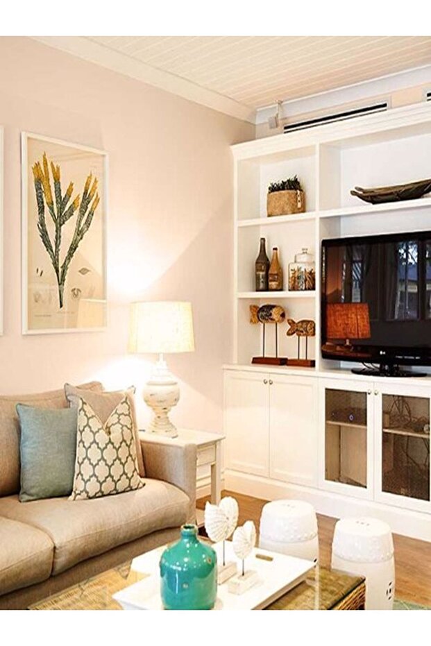 Tek Duvar Boyama Seti Şampanya - 3