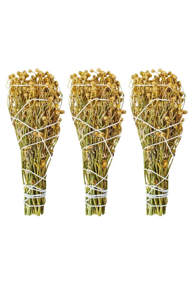 3 Adet Üzerlik Otu Bağ - 1