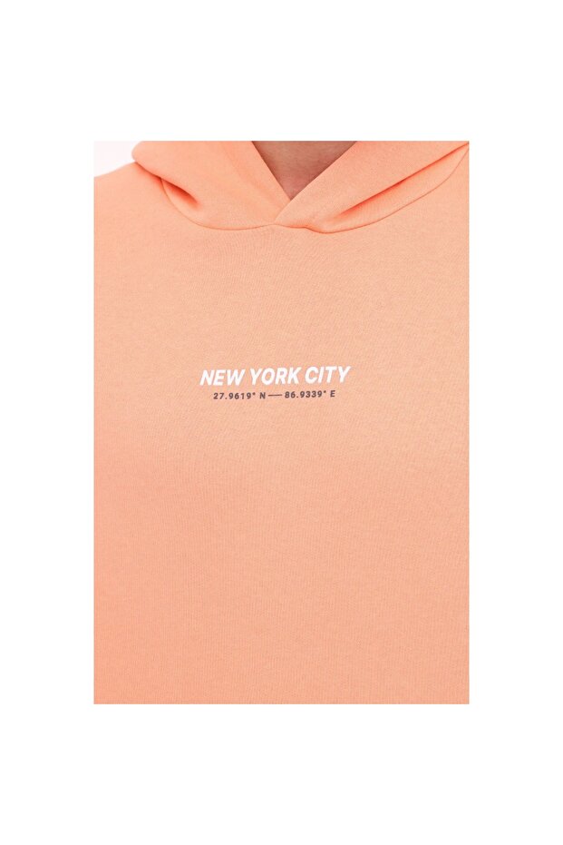 Greys Erkek Pembe Kapüşonlu Sweatshirt - 3