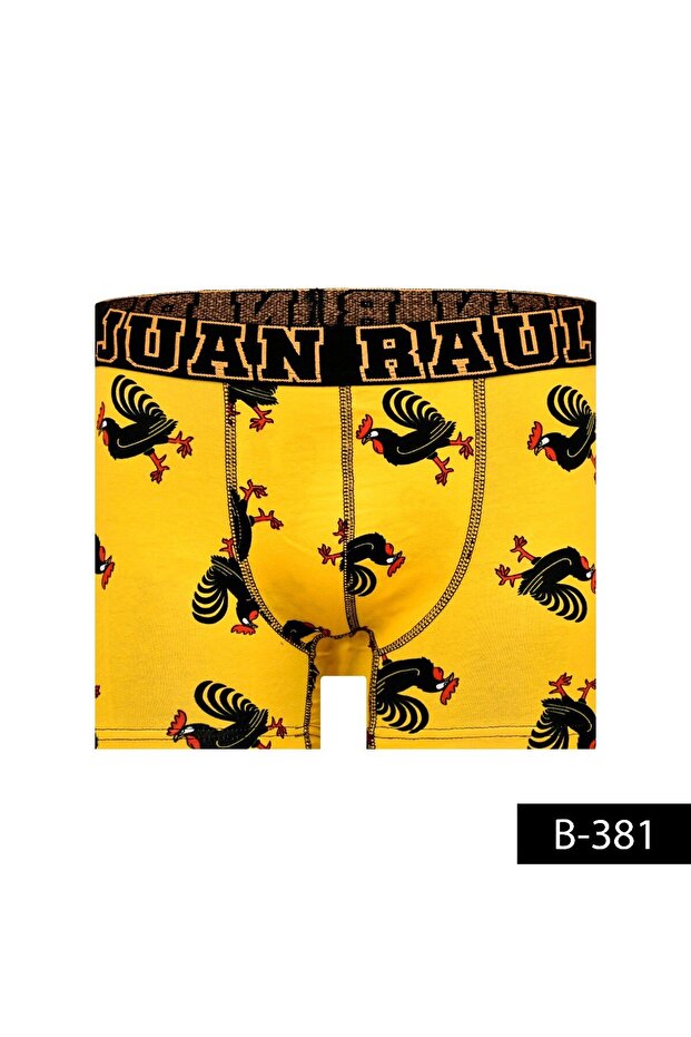 Desenli Boxer - Horoz - 3