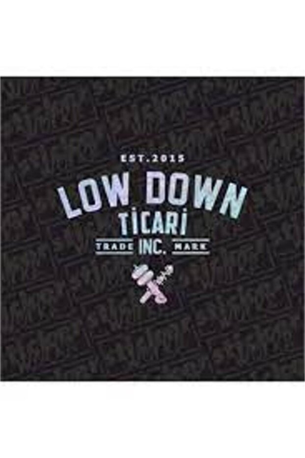 Low Down Commercial Back Window new super hologram Sticker