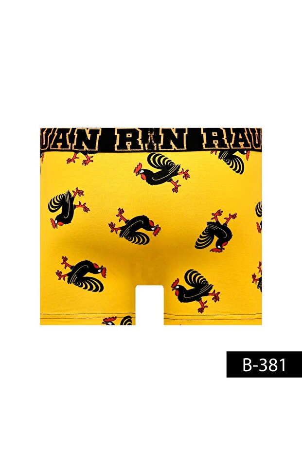 Desenli Boxer - Horoz - 4