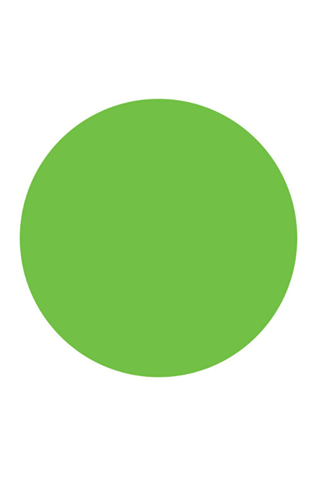 Basic Color - Açık Yeşil 1000ml - 3