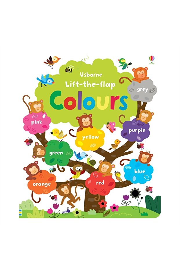 Lift The Flap - Colours Book