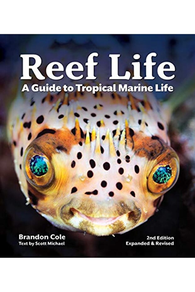 Reef Life