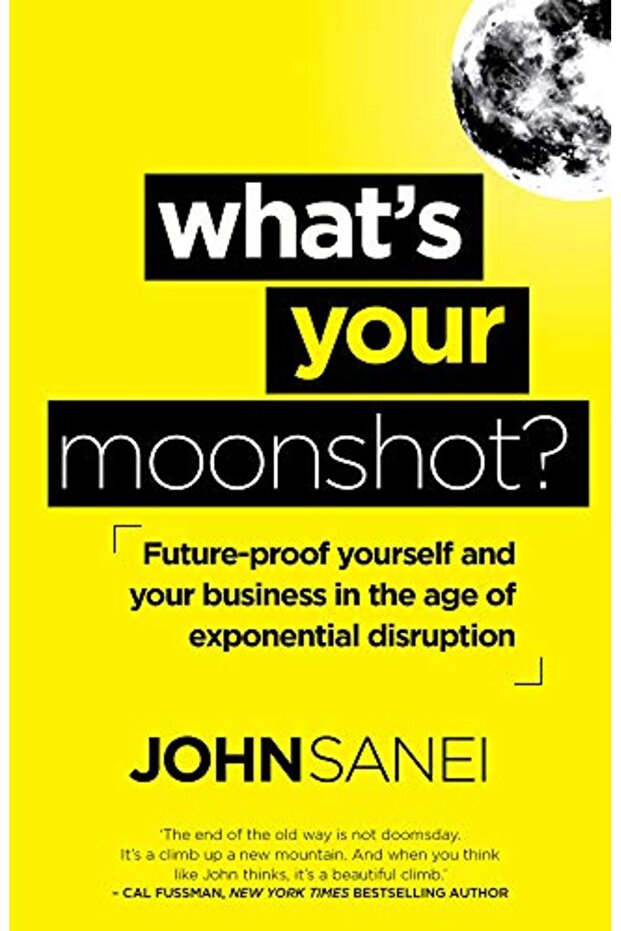 Whats Your Moonshot