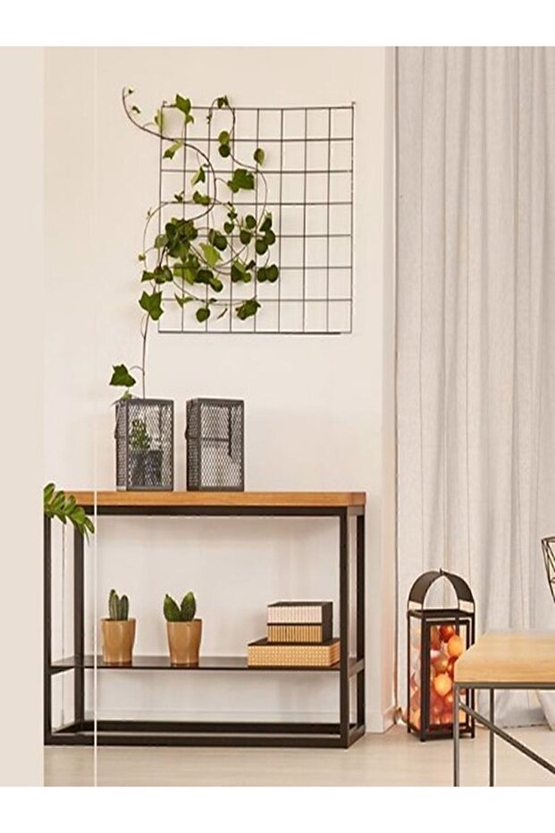 Tek Duvar Boyama Seti Cappuccino - 3