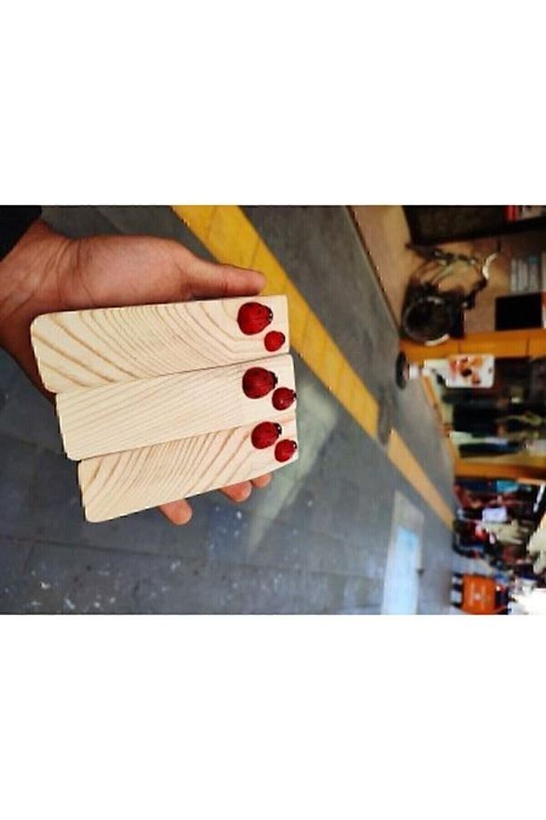 Stoper Ahşap Kapı Kapı Tutucu Kapı Altı Takozu Kapı Durdurucu 3 Adet - 1