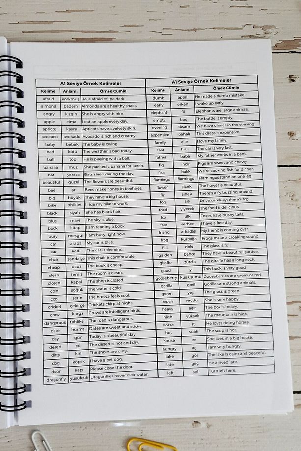 İngilizce Kelime Öğrenme ve Yazma Defteri / A-5 Telli Defter/A-1 / A-2- 250 Örnek Kelime/Ajanda - 8