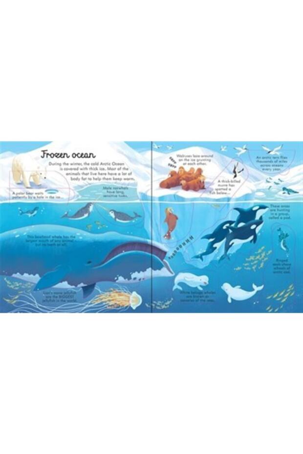 Look Inside Seas And Oceans - 4