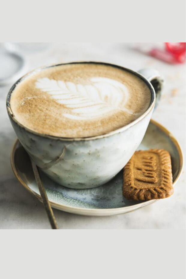 Biscoff 250 G X 12 - 5