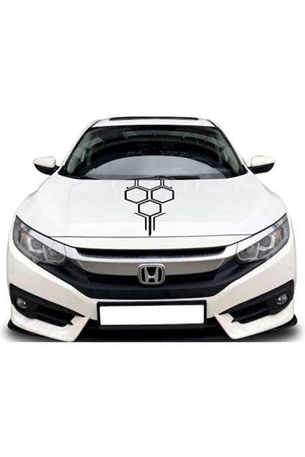 Honeycomb Auto Hood Domestic Production A+ Quality 60*20 cm Durable