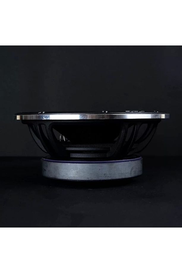 20 CM APOCALYPSE APM81AC ARNOLD 300 RMS MİDRANGE - 5