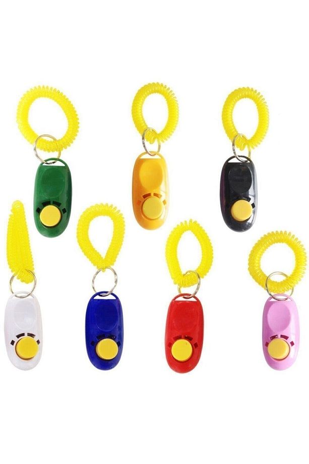 Kayış Clicker Eğitim 6 cm - 1
