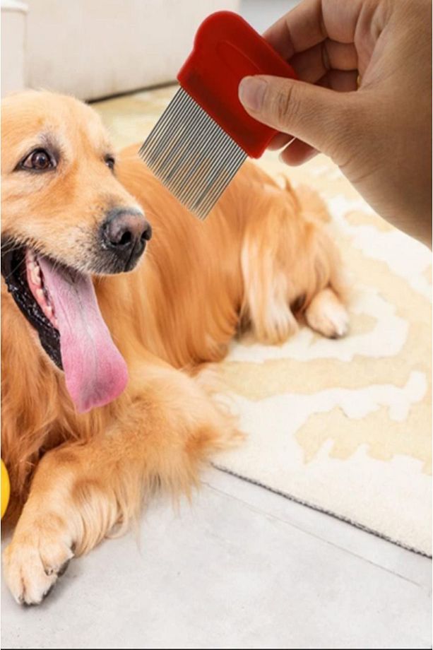 Kedi Bit Tarağı Evcil Hayvan Köpek Bit Ve Pire Metal Tarak Evcil Hayvan Pet Tarağı Bit Şampuanı - 8
