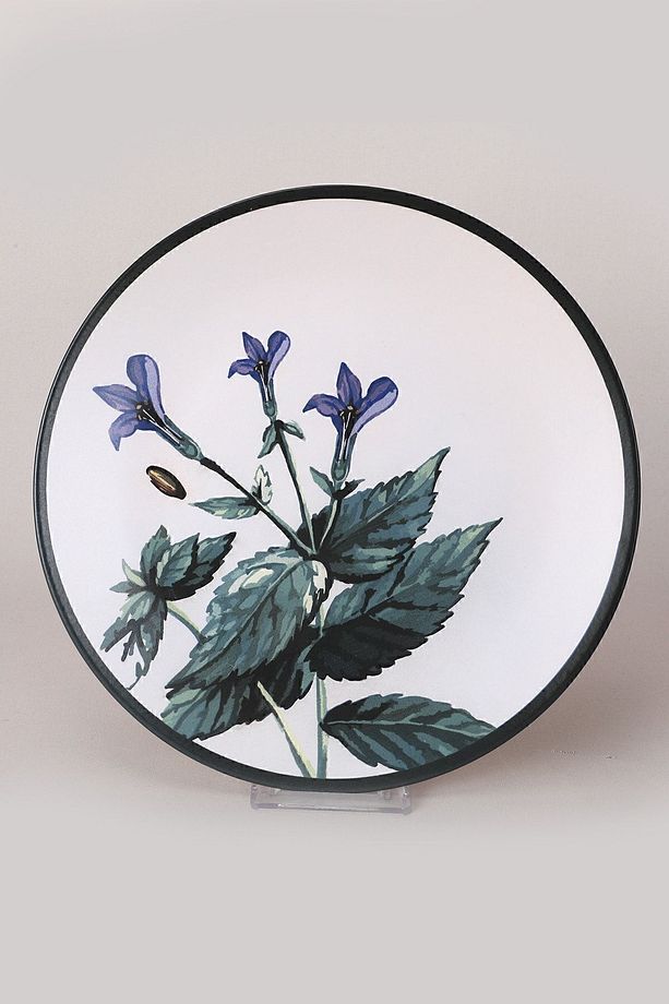 Çiçek Bahçesi Servis Tabağı 25 Cm 6 Adet - 18938-39-40-41-42-43 - 5