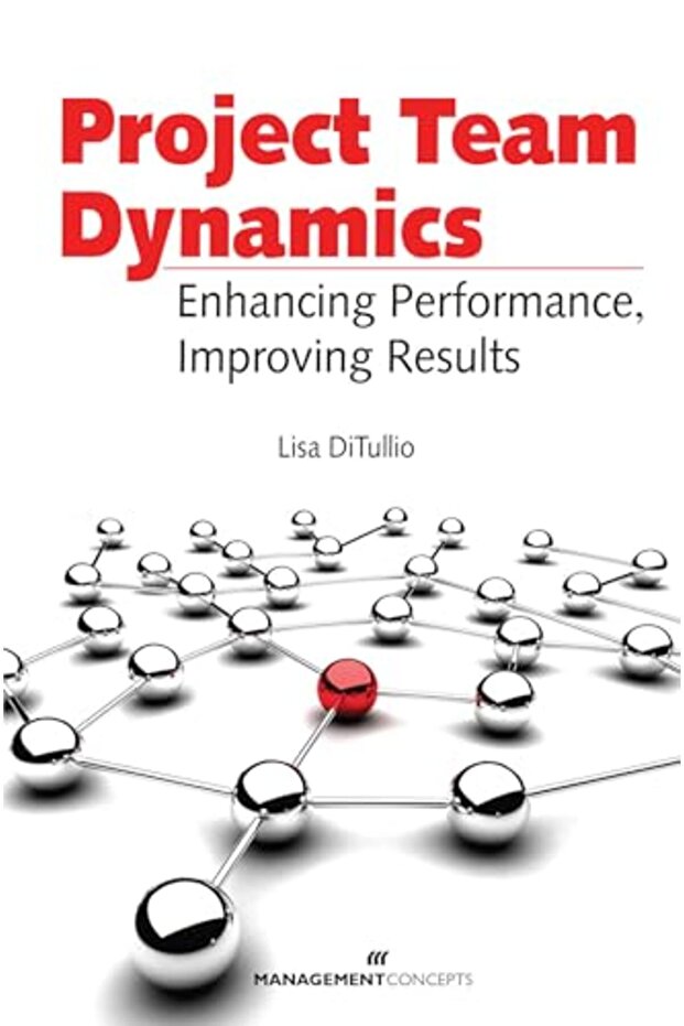 Project Team Dynamics Enhancing Performance Improving Results