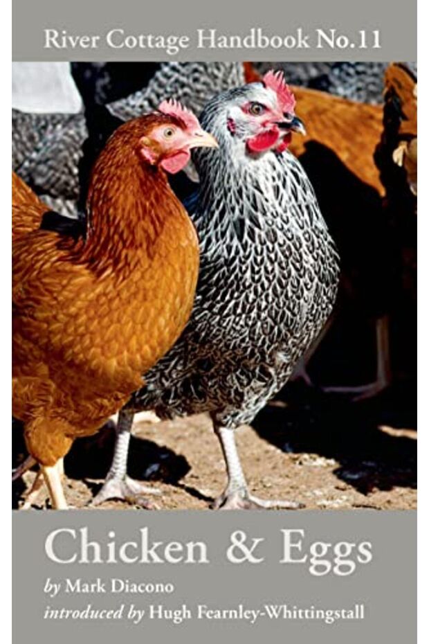 Chicken & Eggs River Cottage Handbook No11