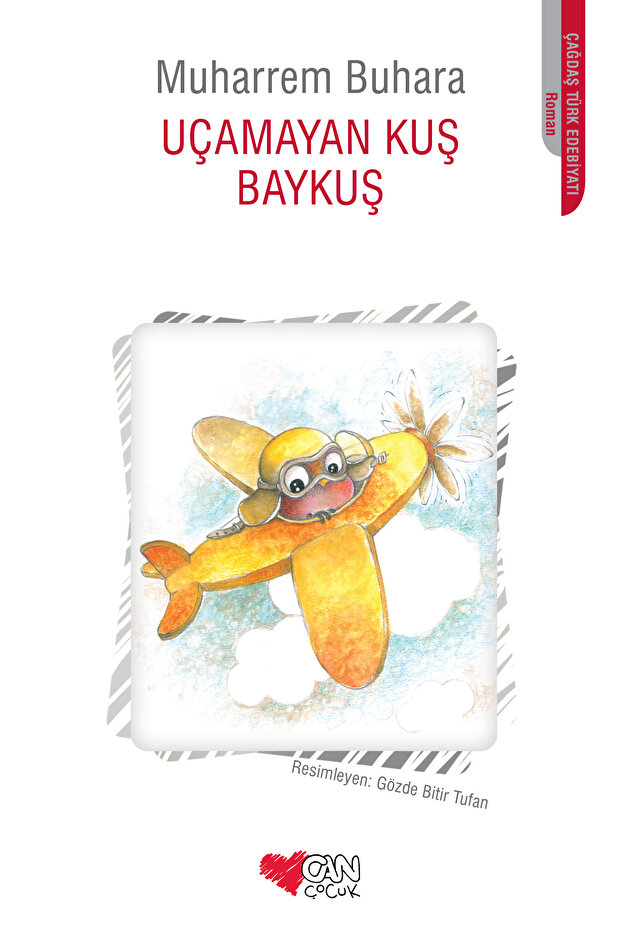 Uçamayan Kuş Baykuş