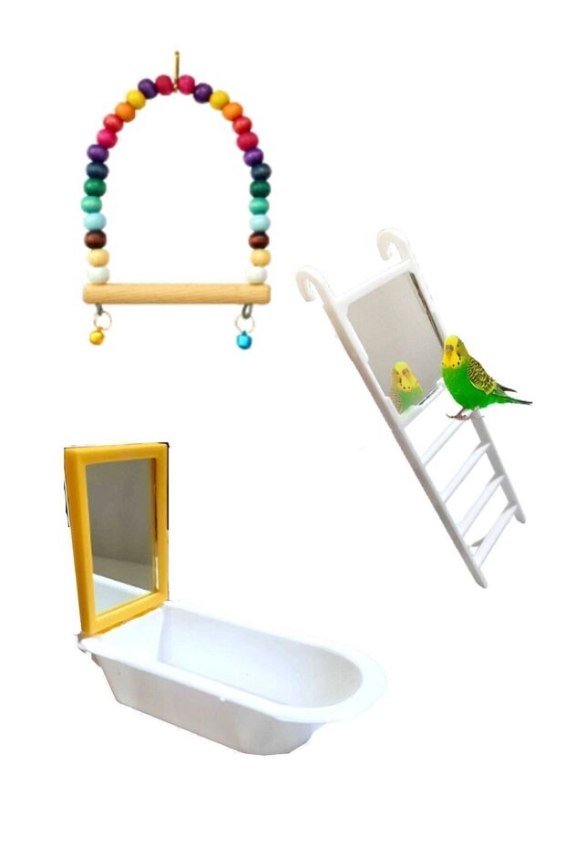 Swing Toy Set for Budgies and Parrots (Set Mirrored Ladder)