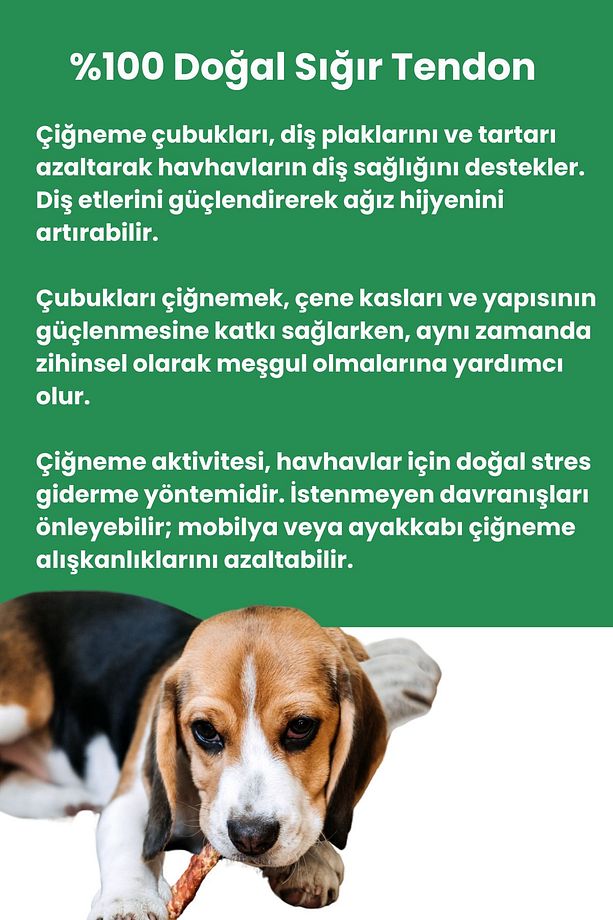 3 Adet Köpek Ödülü %100 Doğal Sığır Tendon Köpek Çiğneme Çubuğu Köpek Ağız Sağlığı - 6