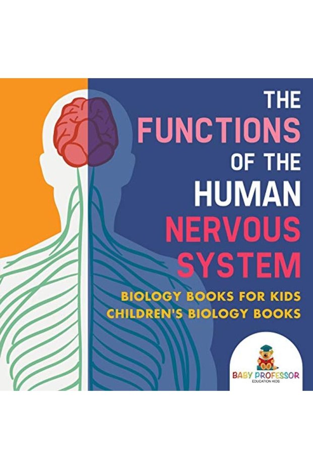 The Functions Of The Human Nervous System Biology Books For Kids Childrens Biology Books