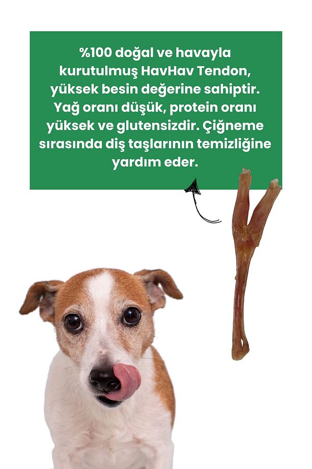 3 Adet Köpek Ödülü %100 Doğal Sığır Tendon Köpek Çiğneme Çubuğu Köpek Ağız Sağlığı - 7