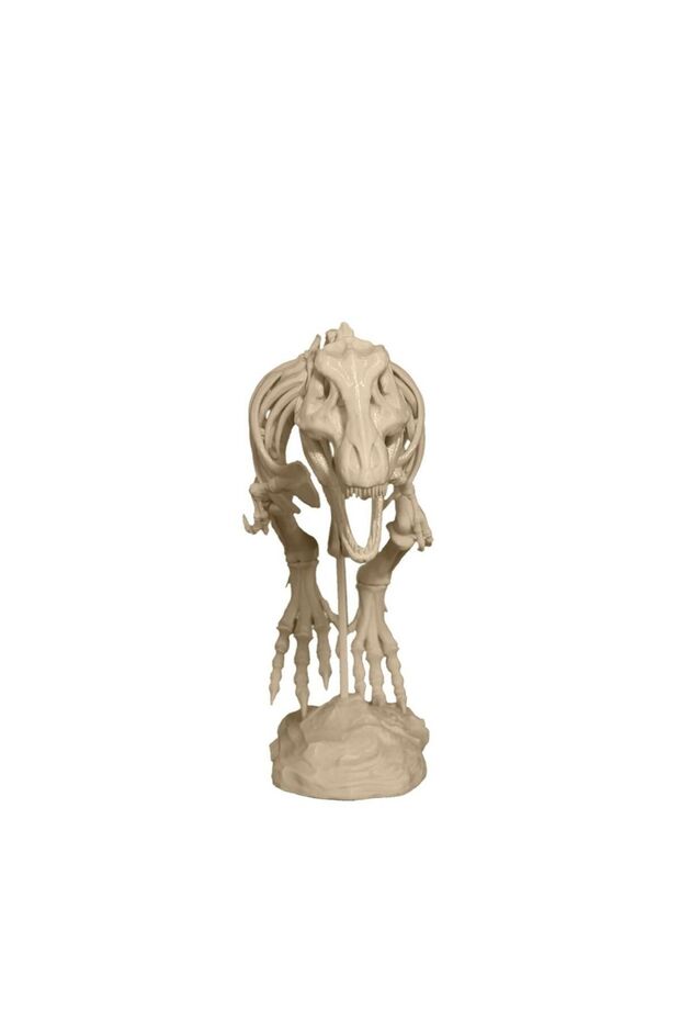 T-Rex Dinazor İskeleti Figür - 2