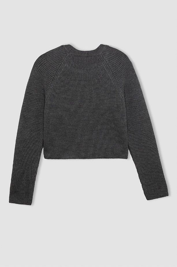 Coool Regular Fit Bisiklet Yaka Basic Düz Triko Kazak L2567az24wn - 7
