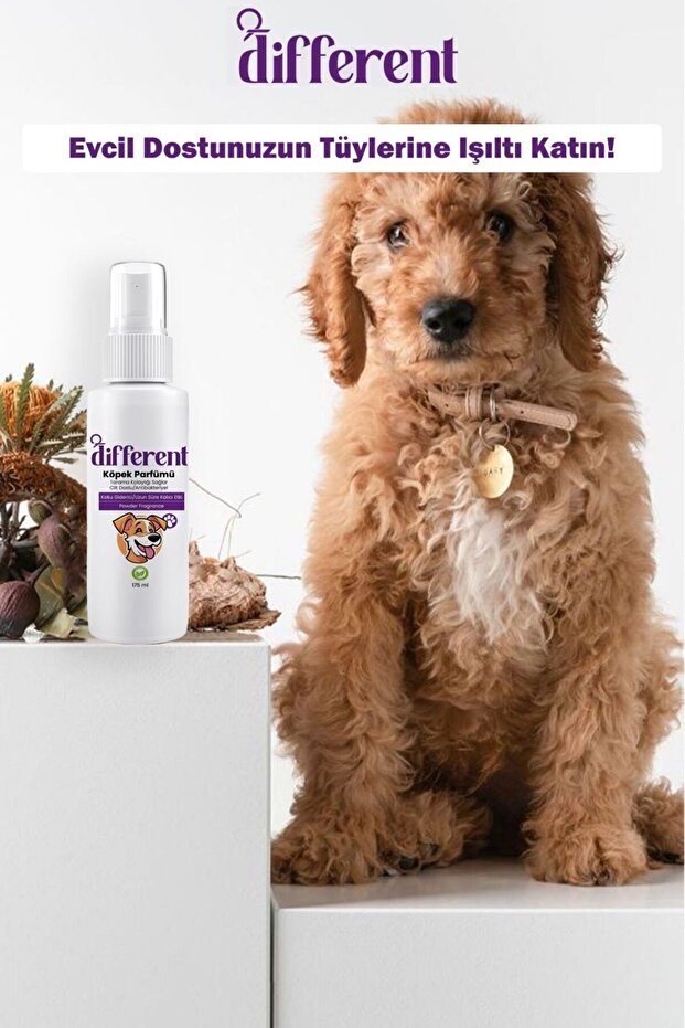 Köpek parfümü 175 ml - 2