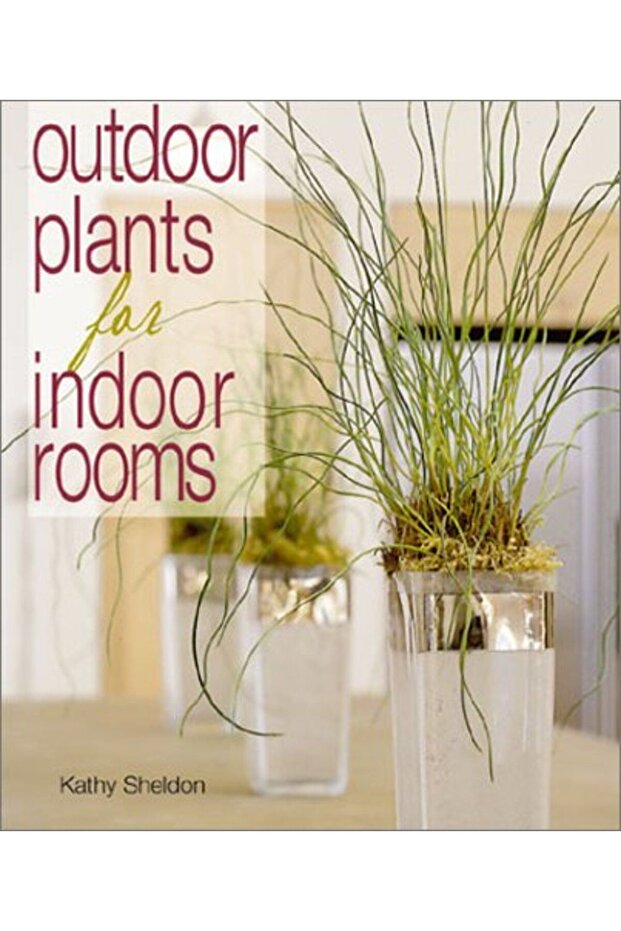 Outdoor Plants For Indoor Rooms