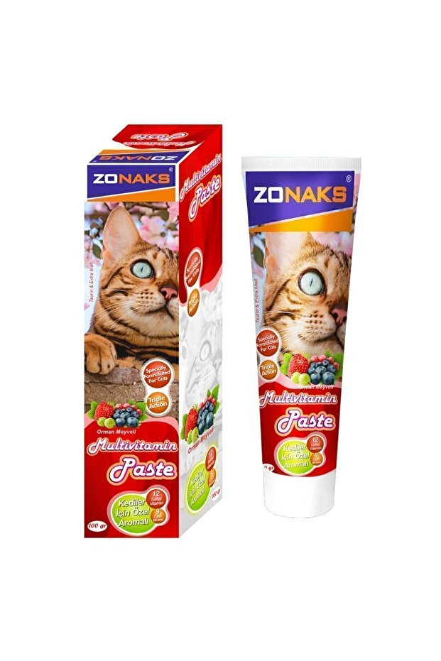 Multivitamin Paste 100 Gr. - 2