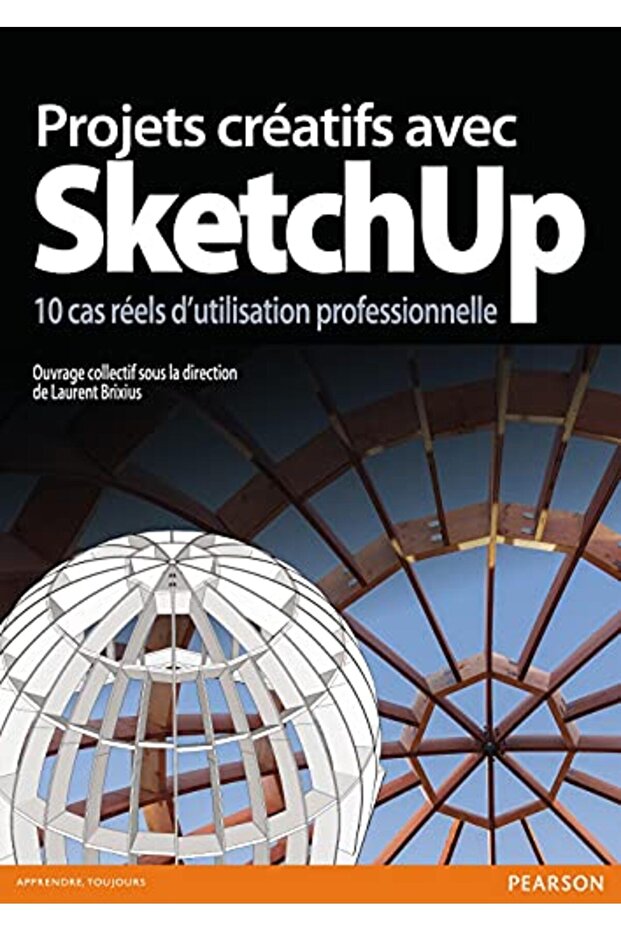 Projets Creatifs Avec Sketchup 10 Cas Reels Dutilisation Professionnelle